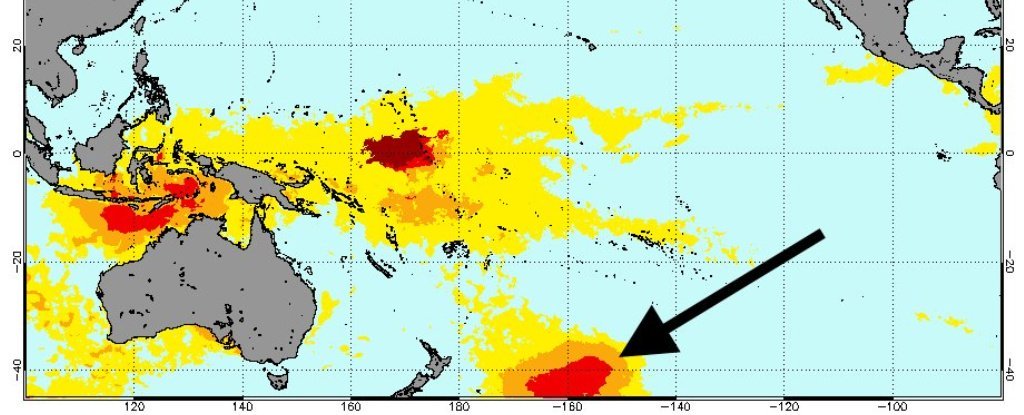 „Горещ балон“ в Тихия океан уби милион морски птици за една година 