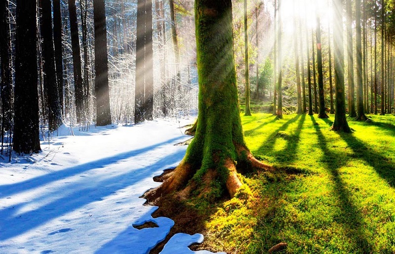 Студеният сезон в Русия намалява, казват прогнозите