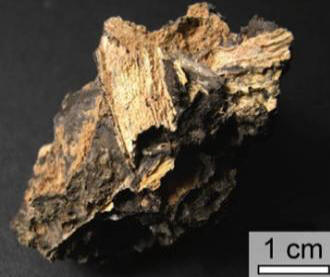 Impactit съхранява биологични данни в продължение на милиарди години.