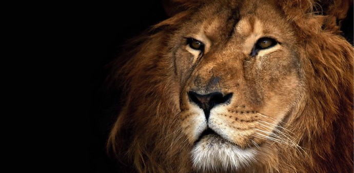 „Присмехът