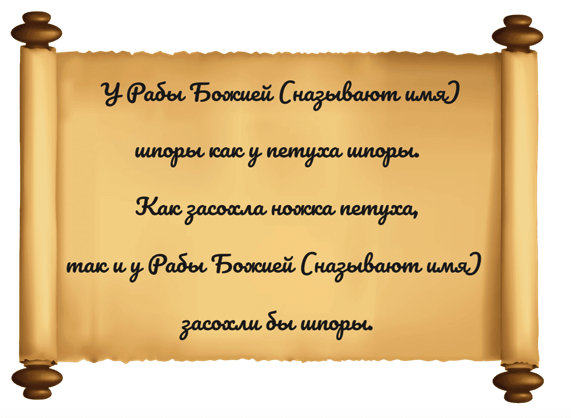 Как да се говори петата шпора 