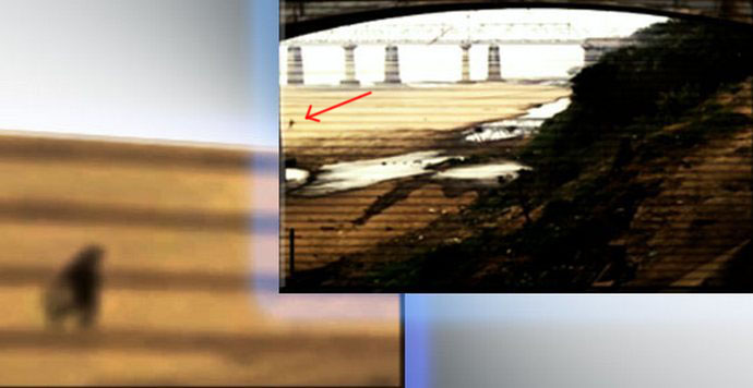 „Надзорната