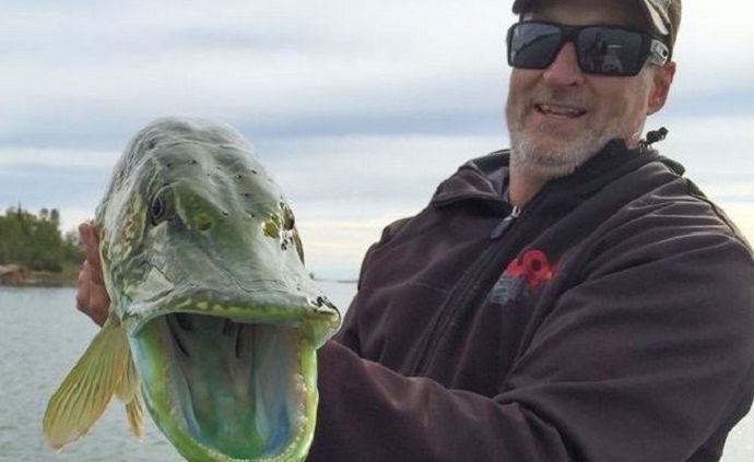 „Канадката