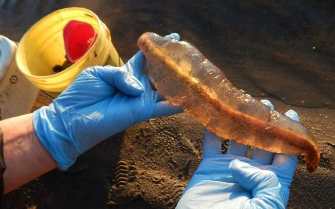 Канадска двойка хвана мистериозно създание в езерото