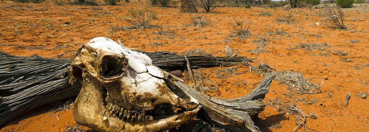 Канадски учени: човечеството ще умре в рамките на 700 години 