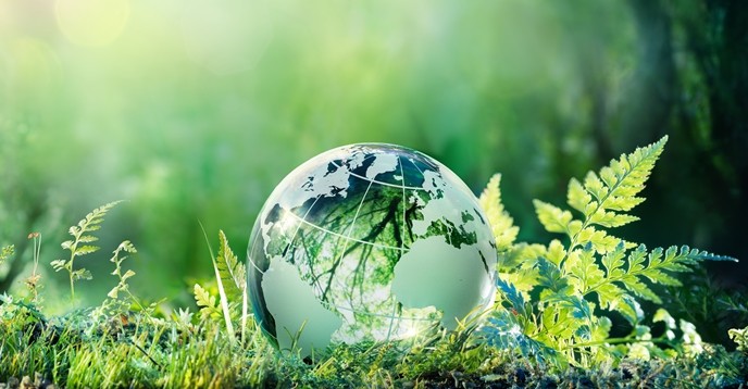 Катастрофни промени в биосферата на Земята, открити от учените