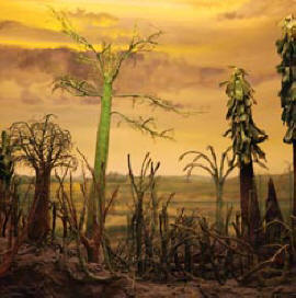 Киселинните дъждове водят до бедствие