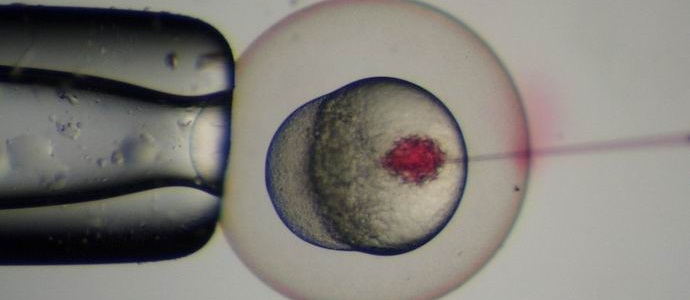 „Китайците