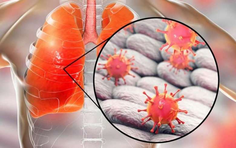 Китайският коронавирус като репетиция на глобалисти (версия)