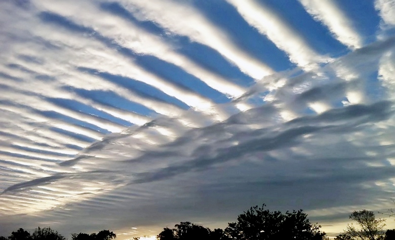 „Конспиролозите