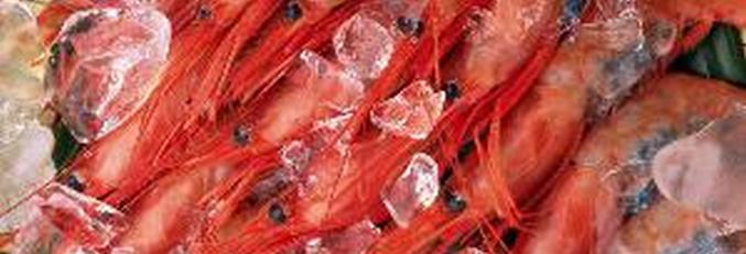 Скариди отидоха на слънчеви панели