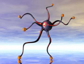 Кои са ларвите?