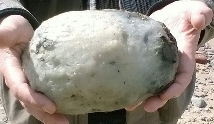 Парче сива амбра направи богата британска двойка