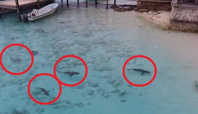 „Квадрокоптерът