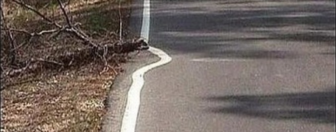 Мързелът ли е двигателят на прогреса?