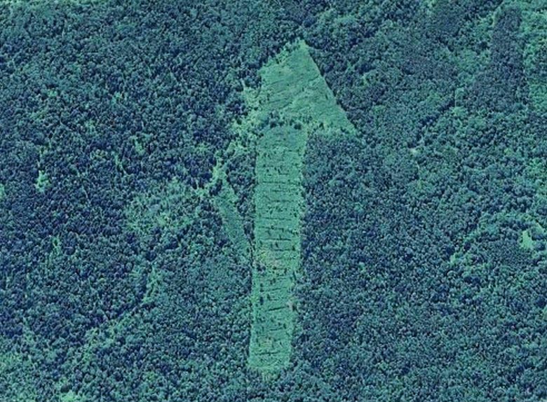 Горите на Смоленска област изненадаха изследователите с мистериозни символи