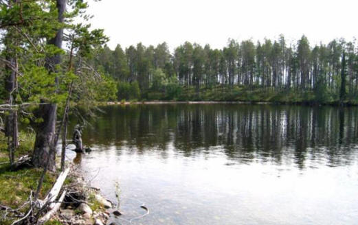 Гоблин от Ведлозеро