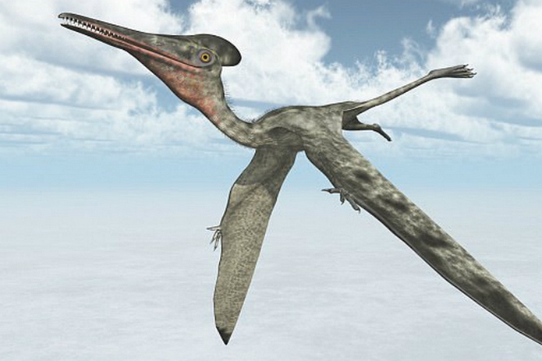 Летящите динозаври управлявали небето в древността