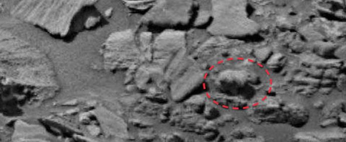 Марсианска мечка