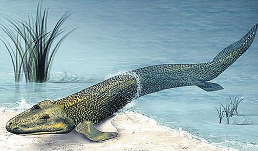 Това беше прародител на всички екстрасенси.