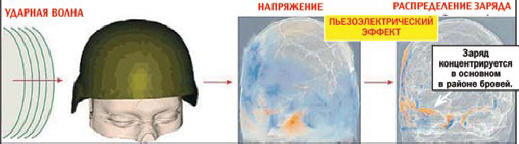 Зарядът е концентриран главно в областта на веждите.