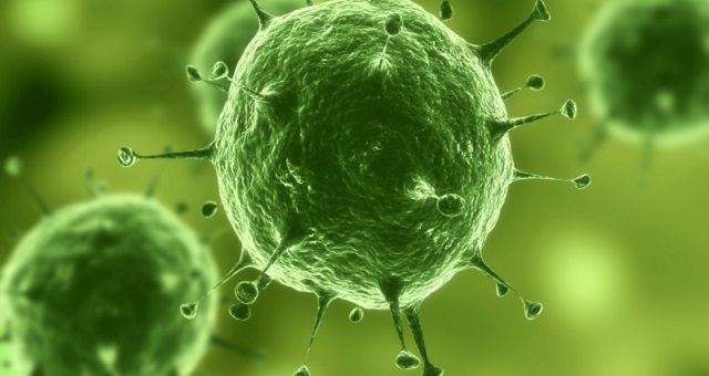 „Зародишите