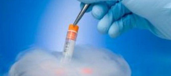 Възможно ли е изкуствено да се създаде перфектното поколение?