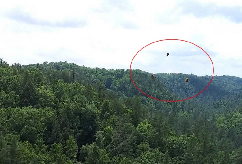 „Дефектът,