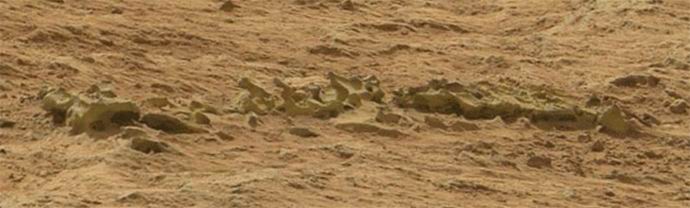 На Марс откриха ли скелета на неизвестно животно?