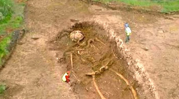 „Гигантски