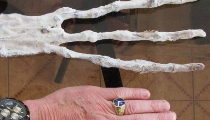 „Намерихте