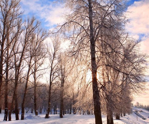 Народни знаци и обичаи на 2 декември (Ден на пророк Авдия) 