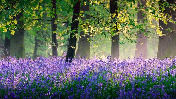 подписва на 1 май 