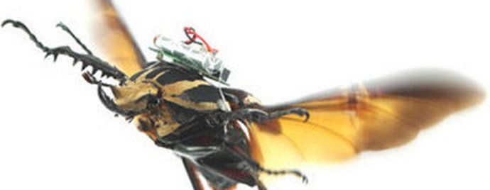 Управлявани