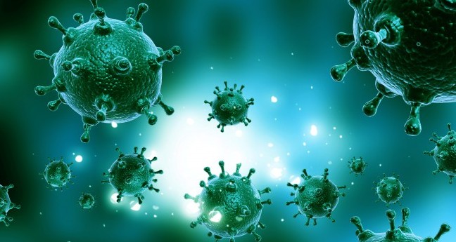 „Истинските