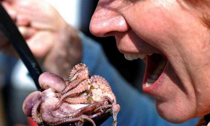 Естествено жива храна