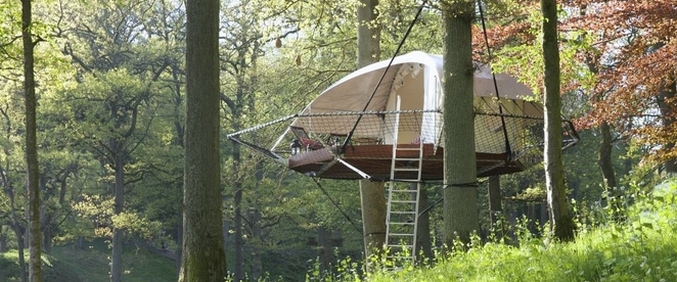 Искаш ли да живееш на дърво?