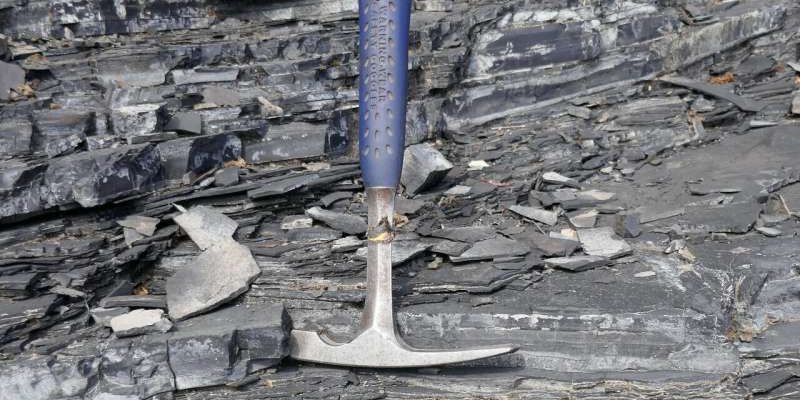 Липсата на кислород в океаните доведе до глобалното изчезване на живота на Земята в миналото 