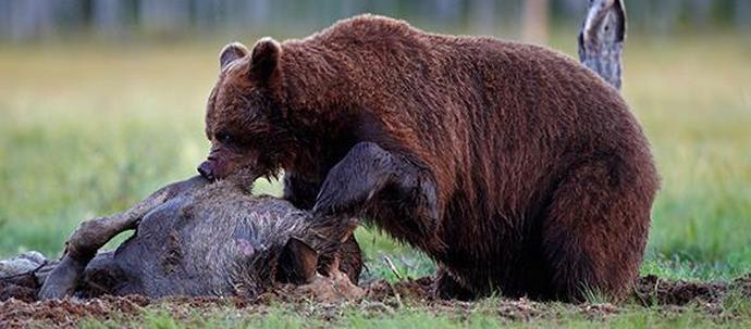 Недекларирана война