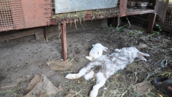 „Неопознат