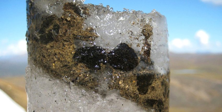 Няколко древни вируса са открити в 15 000-годишен ледник 