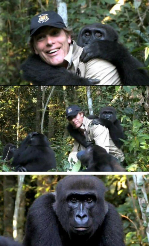 животни 111 Някои очевидни доказателства, че животните имат душа