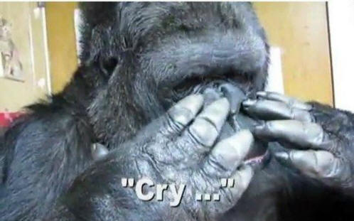 животни 51 Някои очевидни доказателства, че животните имат душа.