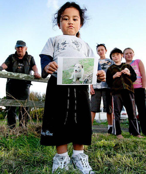 животни 71 Някои очевидни доказателства, че животните имат душа