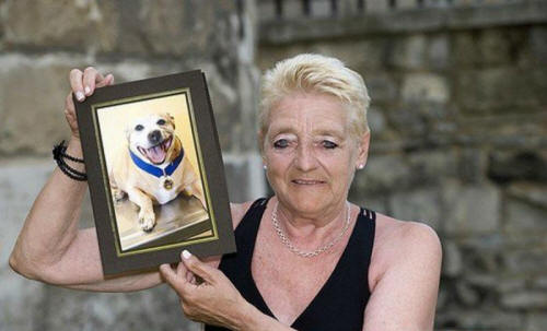 животни 101 Някои очевидни доказателства, че животните имат душа