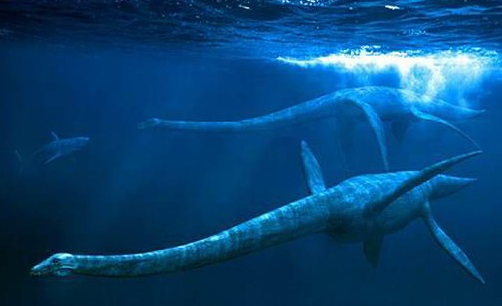 Неси от Якутското езеро Лабинкир