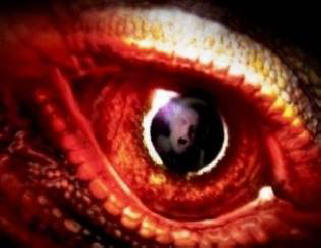 Невероятни срещи в океана