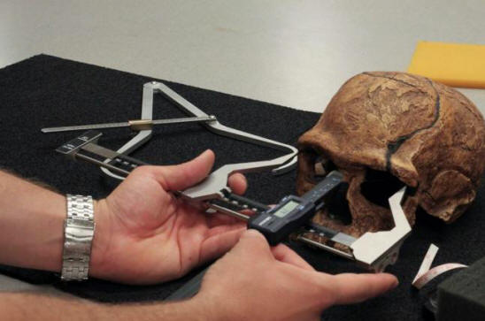 Ниският тестостерон направи хората по-цивилизовани.