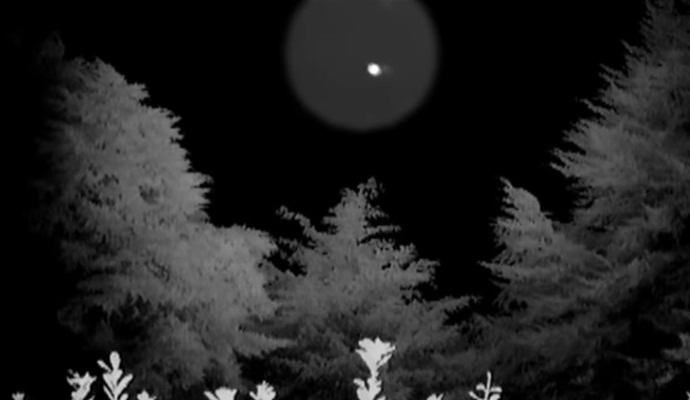 „Новозеландците