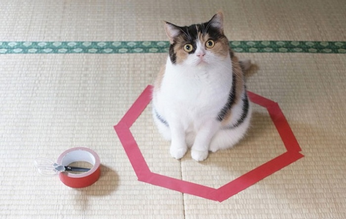 „Очертаният